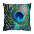 thumbnail image 1 of Nawypu  Colorful Peacock Feather Decorative Throw Pillow Cases Standard  Cushion Cover Natural Style for Home Sofa Couch Decor Pillowcase Green Blue, 1 of 5
