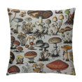 thumbnail image 1 of Nawypu Cottagecore Decor Pillow Covers - Flannel Decorative Mushroom Pillow, Fairycore Room Decor, Mushroom Decor, Cottage Core Decor, Mushroom Gift, 1 of 5