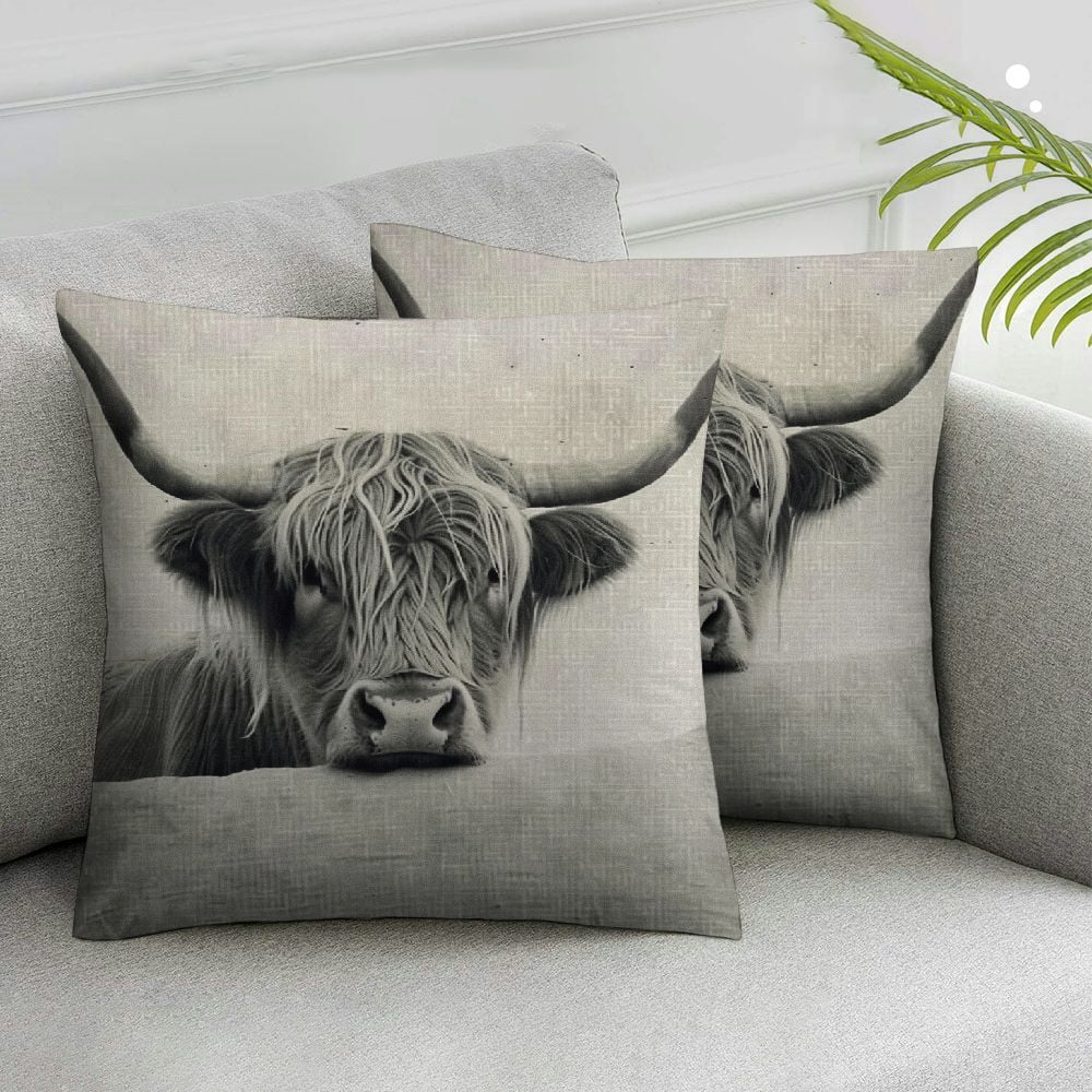 Nawypu Cow Decorative Pillow Cover Farmhouse Portrait of a Highland Cow ...