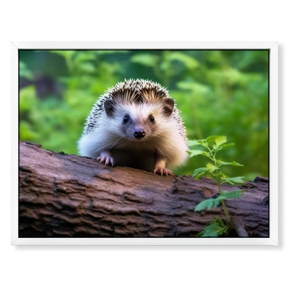 Nawypu Cute Hedgehog Forest Wild Animal PLAKAT POSTER Wall Art Canvas Prints Poster For Home Office Decorations