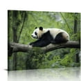 thumbnail image 1 of Nawypu  Cute Panda Canvas Wall art: Wall Decor Animals Themed for Kids' Bedroom Nursury Poster Bathroom Wall Prints, 1 of 4