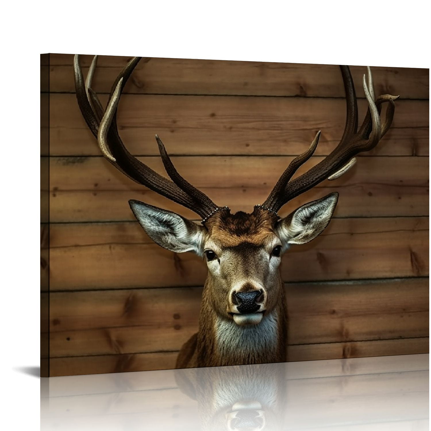 Nawypu Deer Pictures Canvas Wall Art for Bathroom Living Room ...