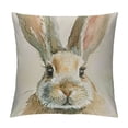 thumbnail image 1 of Nawypu  Easter Decor Easter Bunny Pillow Covers  Spring Decor Easter Rabbit Pillow Chusion Covers, 1 of 5