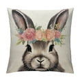thumbnail image 1 of Nawypu  Easter Decorations Throw Pillow Cover  Farmhouse Decorative Pillows Rabbits Home Décor Rustic for Spring Easter, 1 of 5