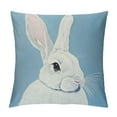 thumbnail image 1 of Nawypu Easter Decorative Throw Pillow Covers,Spring Rabbit Bunny Cushion Cover, 1 of 5
