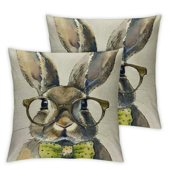 Nawypu Easter Pillow Covers Farmhouse Welcome Easter Egg Rabbit Decorative Pillow Cases Holiday Throw Cushion Cover for Home Sofa Office Car Decor 2pc