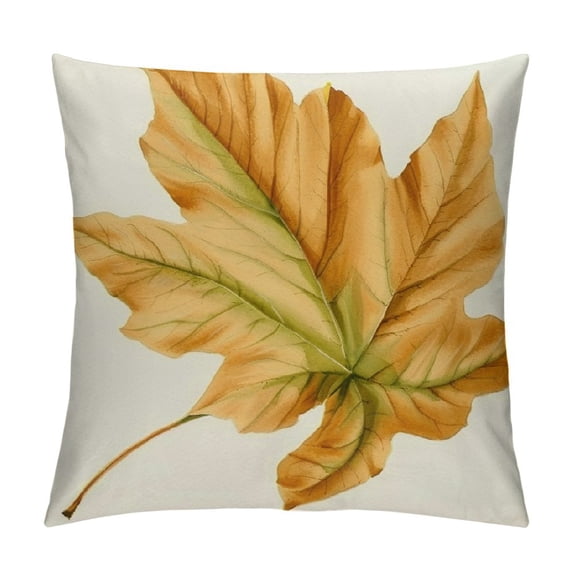 Nawypu Fall Pillow Covers Pumpkin Maple Leaf Harvest Outdoor Fall Pillows Decorative Throw Pillows Farmhouse Thanksgiving Autumn Cushion Case for Couch