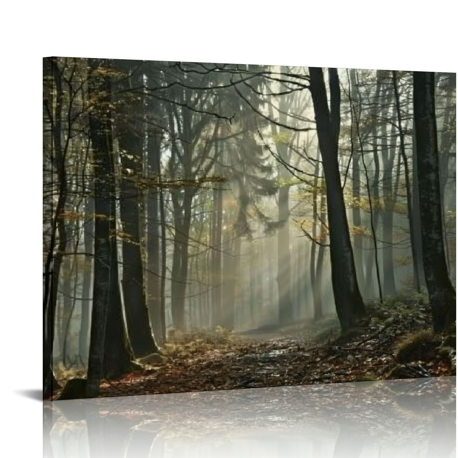 Nawypu Forest Canvas Wall Art Trees Foggy Morning Spring Landscape for ...