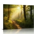 thumbnail image 1 of Nawypu Forest Wall Art Modern Canvas Painting The Picture for Home DecorationTrees Foggy Morning Spring Landscape Print On Canvas Giclee Artwork for Wall Decor 20x16 inch, 1 of 4