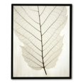 thumbnail image 1 of Nawypu Framed Canvas Print Wall Art Hanging Transparent Black & White Grunge Leaves Floral Nature Illustrations Modern Art Rustic for Living Room, Bedroom, Office, 1 of 4