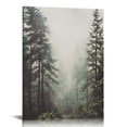 thumbnail image 1 of Nawypu  Framed Canvas Print Wall Art Washed Out Mist Over Forest Pine Trees Nature Wilderness Photography Modern Rustic Scenic Multicolor for Living Room, Bedroom, Office, 1 of 5