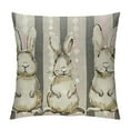 thumbnail image 1 of Nawypu  Gray Stripes Bunny Easter Throw Pillow Cover,  Rabbit Holiday Cushion Case Decoration for Sofa Couch, 1 of 5