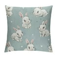 thumbnail image 1 of Nawypu Green Rabbit Standard Pillow Cases, Soft Breathable Pillow Covers with Envelope Closure Decorative Pillow Shams for Bed Sofa Couch Chair Spring Easter Bunny, 1 of 5