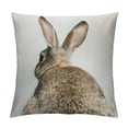 thumbnail image 1 of Nawypu Grey Rabbit Bunny Tail Easter Bunny Feed Pattern Throw Pillow Cover Decorative Pillowcase Cushion Cover for Sofa Couch Bed,Farmhouse Kids Room Decor,Gift for Rabbit Lovers Kids, 1 of 5
