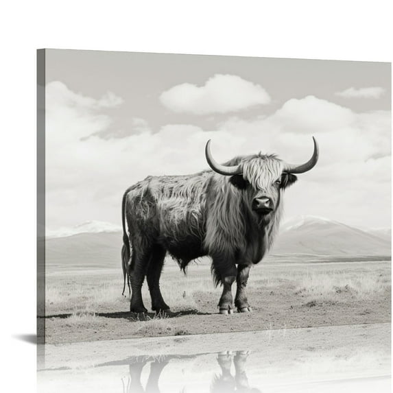 Nawypu HOME Black and White Highland Cow Photograph Stretched Canvas Wall Art, multi-color,Living Room