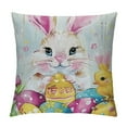 thumbnail image 1 of Nawypu  Happy Easter Throw Pillow Covers  Easter Eggs Bunny Spring Decorative Pillows Soft Cushion Cases for Couch Sofa Bed Home Decor Set of, 1 of 5