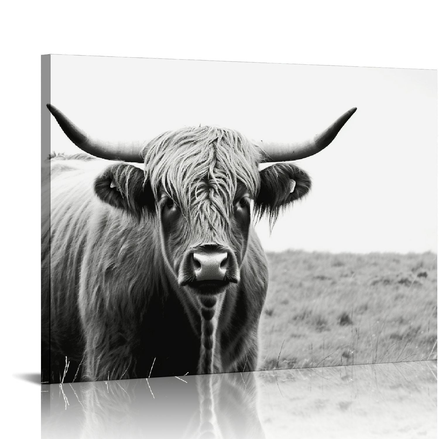 Highland Cow Black and White Canvas Wall Art 16x20