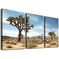 thumbnail image 1 of Nawypu  Joshua Tree National Park California Desert Landscape Photo Stretched Canvas Wall Art 12''x16''X3 Panels, 1 of 4