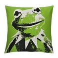 thumbnail image 1 of Nawypu  Kermit Cartoon The Frog Anime Pillow Covers Cushion Case Farmhouse Throw Pillowcase for Couch Sofa Bed Decor, 1 of 5