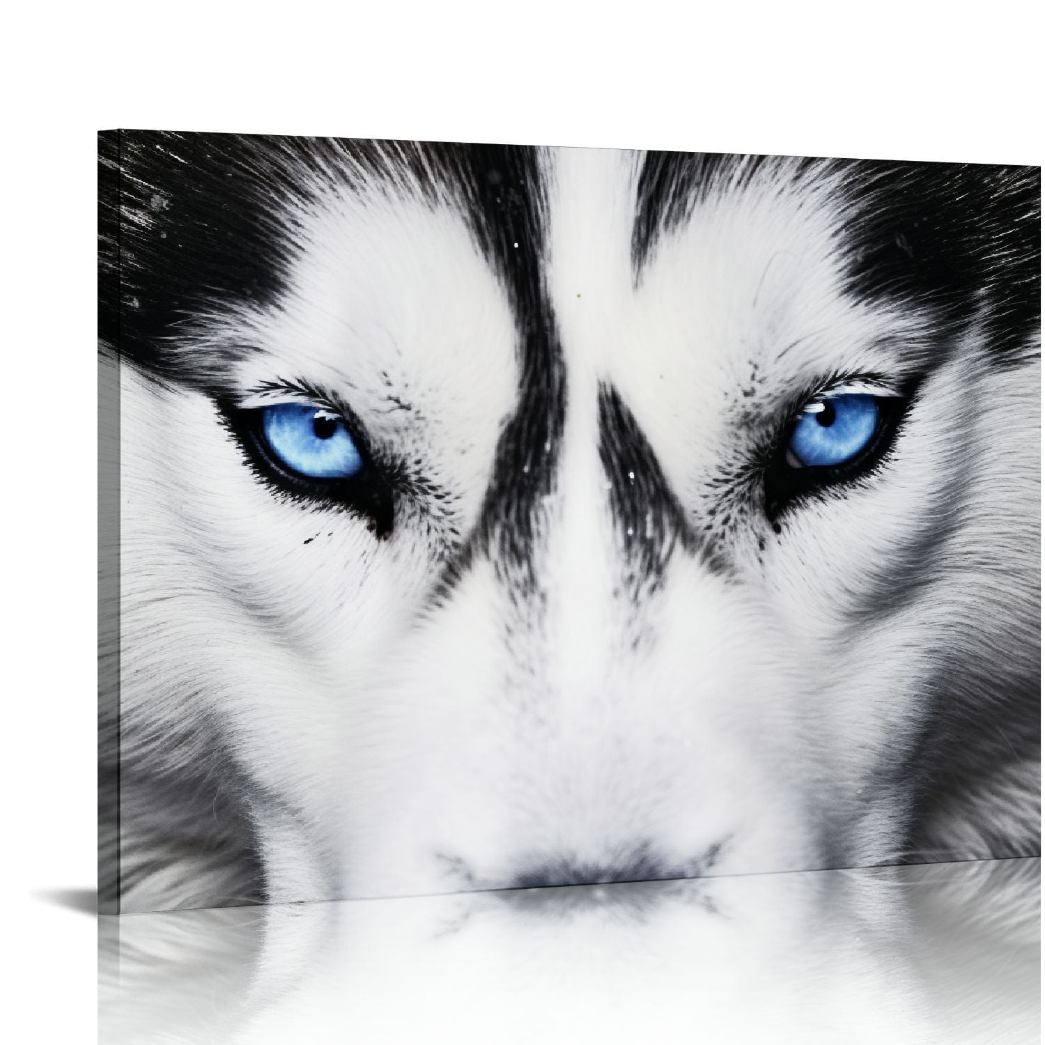Nawypu Large Black and White Wolf Canvas Wall Art Husky Dog Blue Eyes