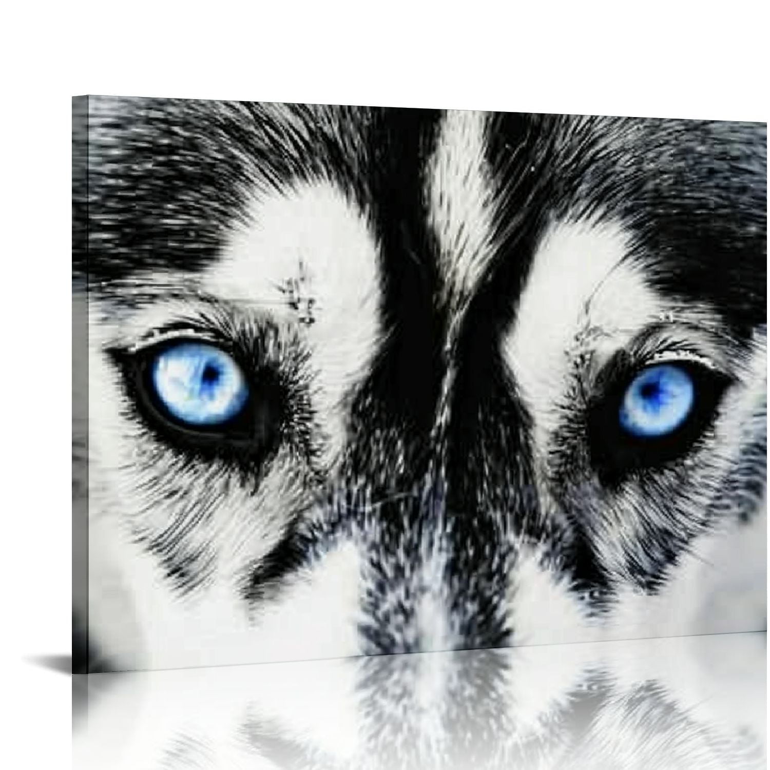 Nawypu Large Black and White Wolf Canvas Wall Art Husky Dog Blue Eyes