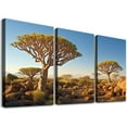 thumbnail image 1 of Nawypu Large Framed Wall Art Ready to Hang Quiver Trees Namibia Africa Canvas Print Artwork Wall Art Painting Pictures Home Office Wall Décor Modern Poster 12''x16''X3 Panels, 1 of 4