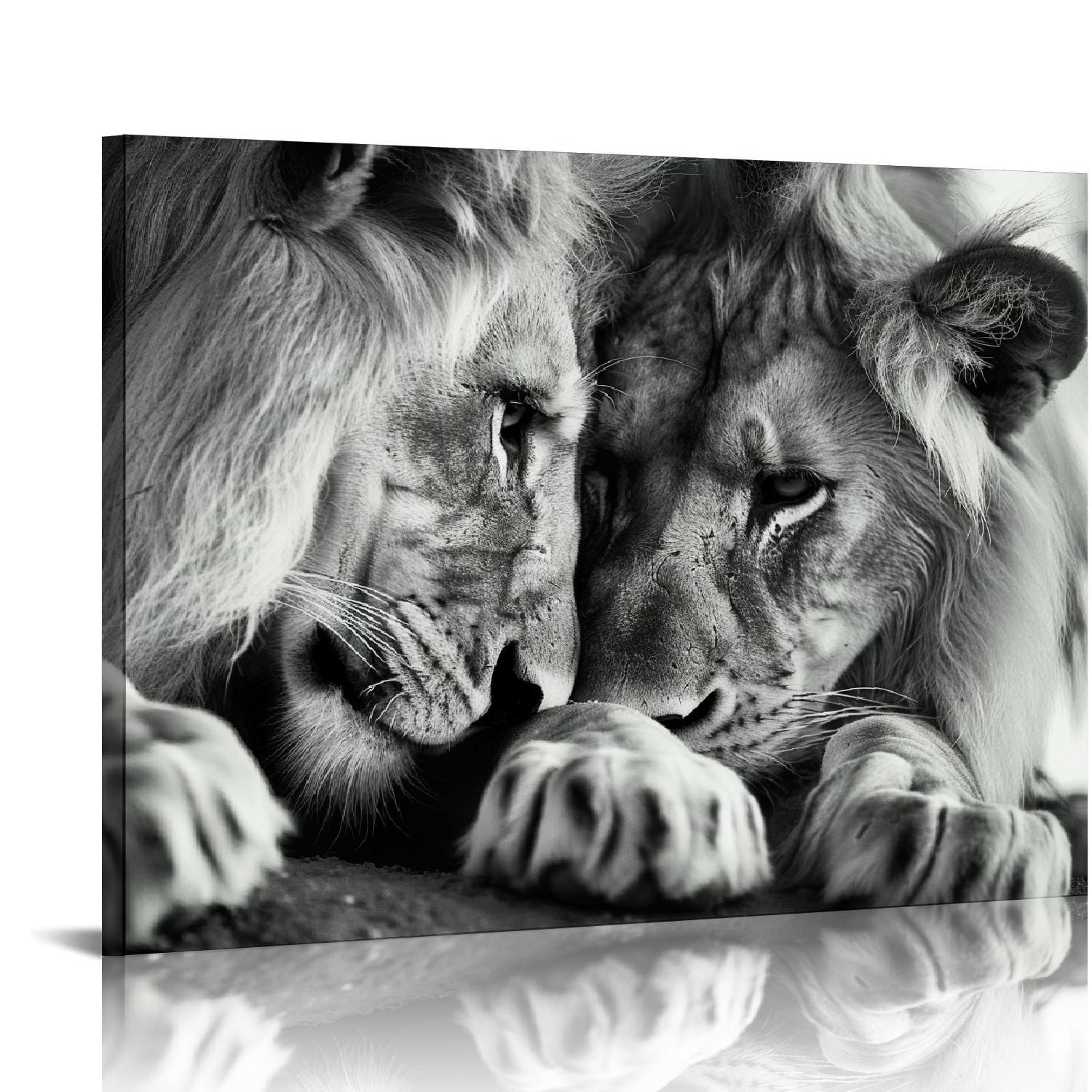 Nawypu Lion and Lioness Canvas Wall Art Black and White Animal Couple