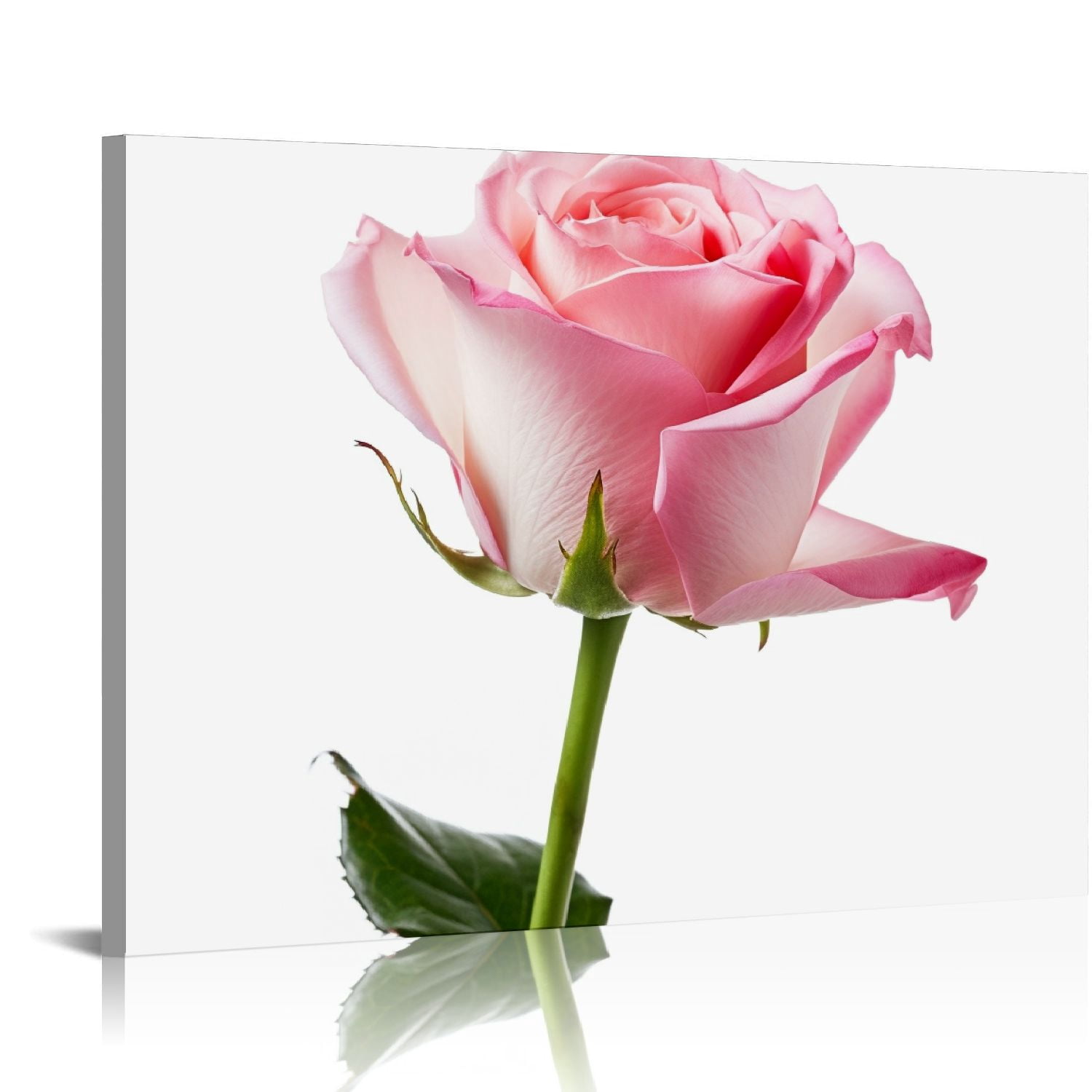 Nawypu Misty Rose Pink Rose by Canvas Wall Art - Walmart.com