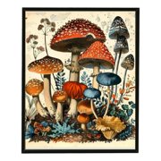 Nawypu Mushroom Wall Decor Aesthetic Posters,Colorful Mushroom Poster,Vintage Mushroom Poster Fungus Wall Art Print,Children's Education Mushroom Pictures,farmhouse,Classroom,Restaurant Decor,