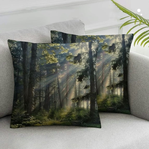 Nawypu Nature Misty Throw Pillow Case Cushion Cover Home Office Decorative for Sofa Living Room Square ,Set of 2