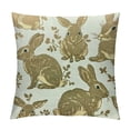 thumbnail image 1 of Nawypu Pieces Happy Easter Throw Pillow Covers Rabbit Bunnies Cushion Pillowcase Beige and White Rabbits Pillowcase Cushion Cover for Easter Bedroom Sofa Decorations, 1 of 5