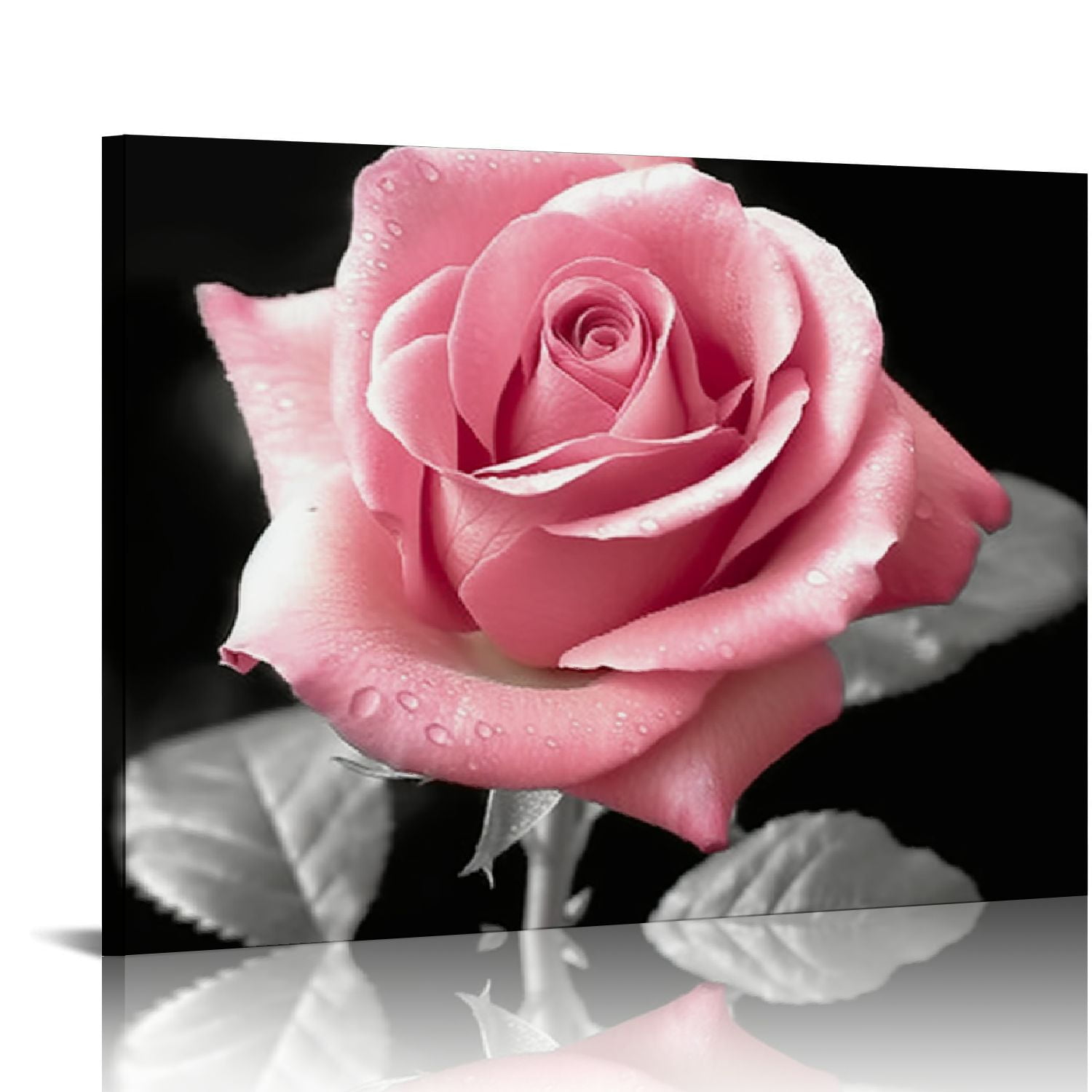 Nawypu Pink Rose Flower Decor Wall Art Floral Paintings Prints Black