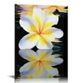 thumbnail image 1 of Nawypu  Plumeria Flower Wall Art Yellow Flower Black and White Picture Canvas Print Wall Painting Modern Artwork Wall Décor for Bedroom Living Room Bathroom Office, 1 of 4