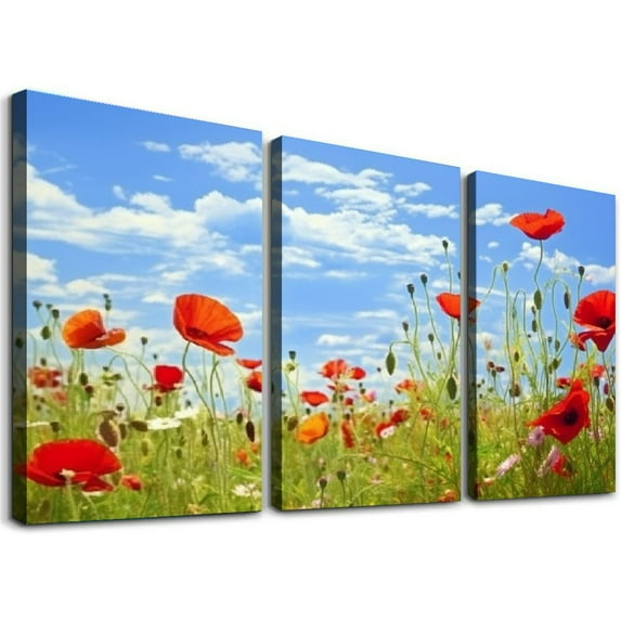 Nawypu Poppy Flower Canvas Wall Art Painting Pictures Red Poppy Flowers Field Blue Sky Natural Wilderness Landscape Framed Ready to Hang (Poppy Flower - 12''x16''X3 Panels)