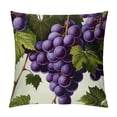 thumbnail image 1 of Nawypu  Premium Grape Throw Pillow Inserts - Unique Patterns Decorative Bed Pillowcase - Pillows Covers for All Occasions, 1 of 5