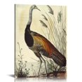 thumbnail image 1 of Nawypu Print Canvas Wall Art Great American Cock (Wild Turkey) Modern Home Bedroom Decor, 1 of 5