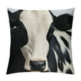 thumbnail image 1 of Nawypu  Real Black and White Cowhide Throw Pillow Covers Sofa Pillowcase Car Square Throw Pillowcases Home Decoration, 1 of 5