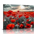 thumbnail image 1 of Nawypu Red Poppy Flower Wall Art, Black and White Floral Landscape Canvas Prints Picture Living Room Decor Nature Blossom Wildflower Scenery Painting Modern Artwork for Bedroom Office Decoration, 1 of 6