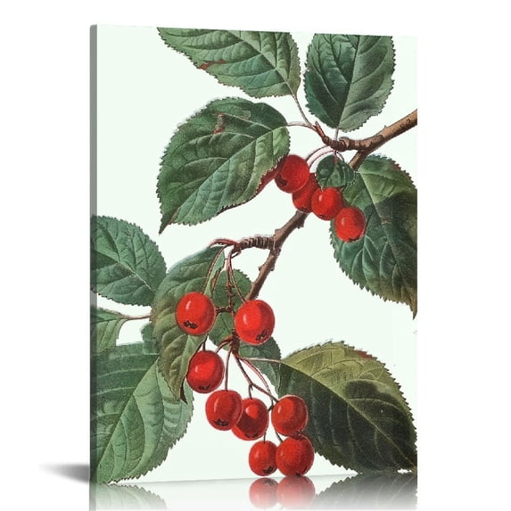 NTIAOTIAOHOU Art, French Botanical Print - Wall Art, Redoute Vintage Cherries, Fruit Kitchen Decor
