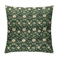 thumbnail image 1 of Nawypu  Shamrock Decorative Throw Pillow Case, Clovers and Hearts Pattern St Paddy's Day Motifs on Green Backdrop, Couch Bedroom Living Room Cushion Cover, Green Cream, 1 of 5