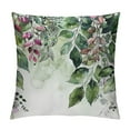 thumbnail image 1 of Nawypu Spring Sage Green Pillow Covers for Watercolor Eucalyptus Leaves Decor Throw Pillows Floral Plant Outdoor Decorative Cushion Cases with Zipper for Couch Bed Decorations, 1 of 5