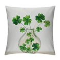 thumbnail image 1 of Nawypu St Patricks Day Lumbar Pillow Cover Vase Decor Farmhouse Decorative White Cushion Case Home Spring Decorations for Sofa Couch, 1 of 5