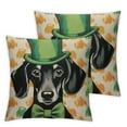 thumbnail image 1 of Nawypu  St Patricks Day Pillow Covers Dachshund Throw Pillowcase Dog Living Room Sofa Pillowcase Dog St. Patrick's Day Home Decorations 2Pcs, 1 of 6