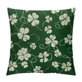 thumbnail image 1 of Nawypu St Patricks Day Pillow Covers Spring St Patricks Day Decorations Cushion Covers Outdoor Farmhouse Home Decor for Sofa Couch Bed, 1 of 5