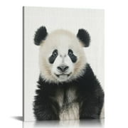 Nawypu Stupell Home Décor Baby Panda Studio Photo Oversized Stretched Canvas Wall Art,