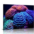 thumbnail image 1 of Nawypu  Submarine Coral Wall Art Marine Organisms Poster Canvas Prints For Home Living room bedroom Office Decorations With Framed, 1 of 6