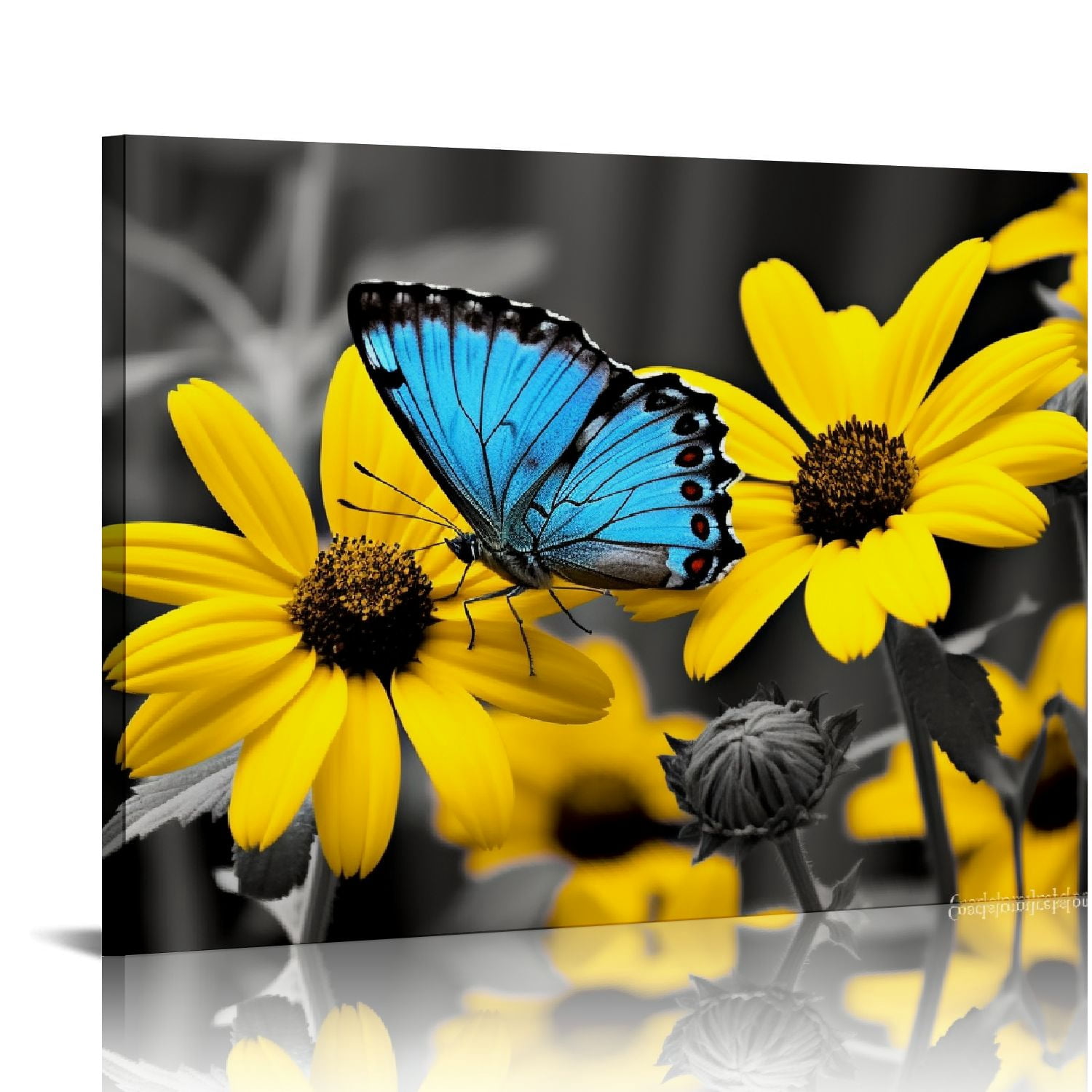 Nawypu Sunflower Canvas Wall Art Blue Butterfly Yellow Flowers Pictures ...