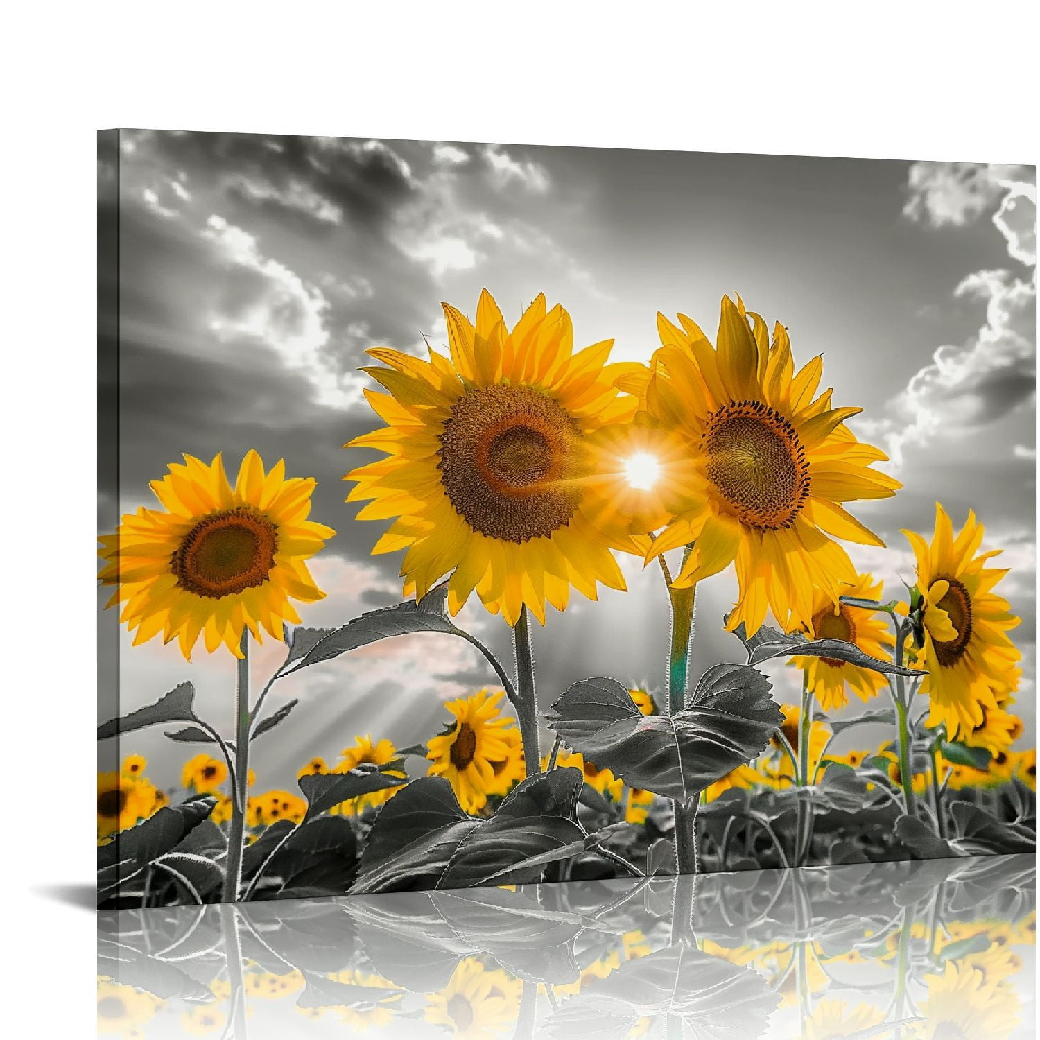 Nawypu Sunflower Wall Art Sunflower Pictures Wall Decor Black and White ...
