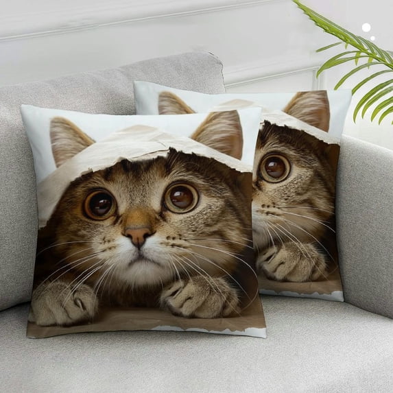 Nawypu Super Soft Short Plush Square Decorative Throw Pillow Case Sofa Waist Cushion Cover 2pcs (3D Cat)