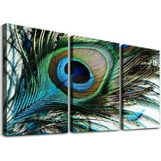 Nawypu T&H XHome Wall Art Oil Paintings on Canvas Print Peacock Feather Arts Office Artwork Home Decoration Living Room Bedroom Bathroom Giclee Walls Decor,Wooden Framed Ready to Hang